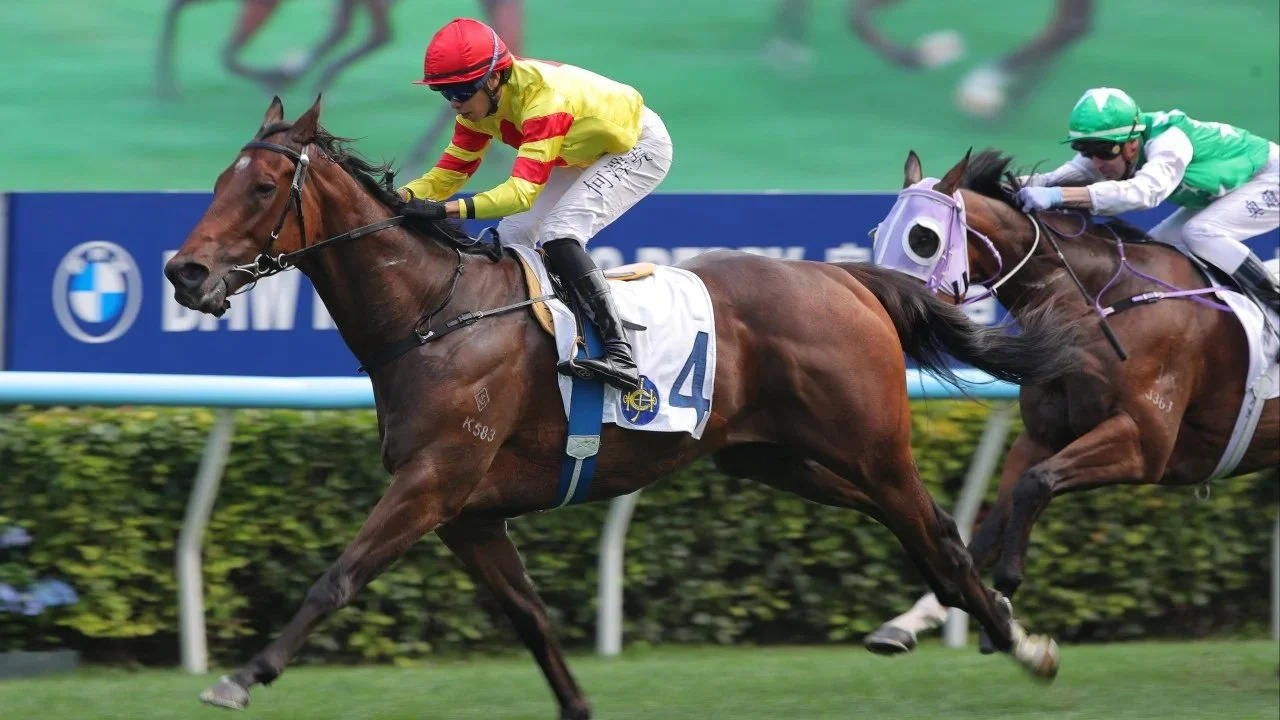 何泽尧详解沙田赛事:HotDelight10档出发寻找掩护与近四战数据趋